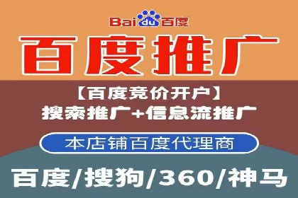 电商平台信息流广告的创意与优化：成功案例分析